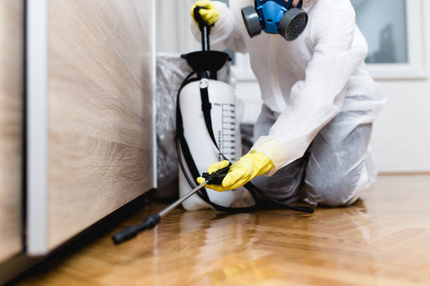 Best Affordable Pest Control Services  in Golden Valley, MN
