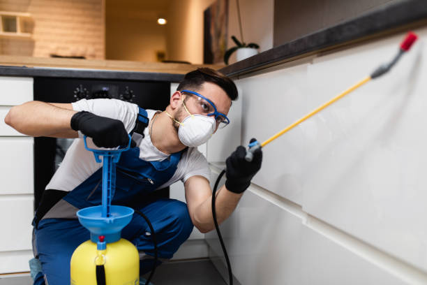 Flea Control Services in Golden Valley, MN