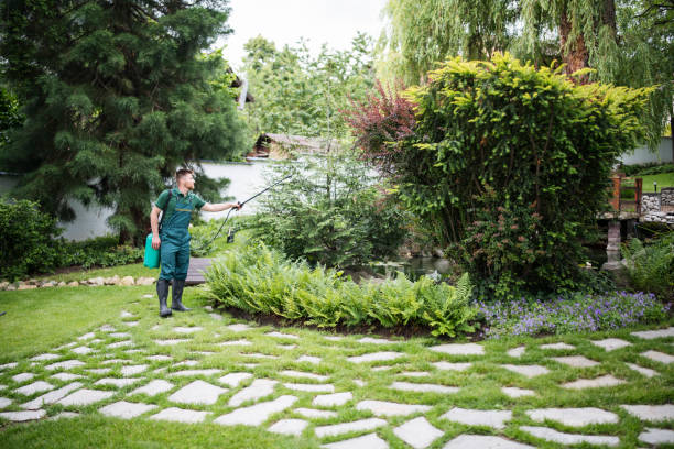 Best Emergency Pest Control  in Golden Valley, MN
