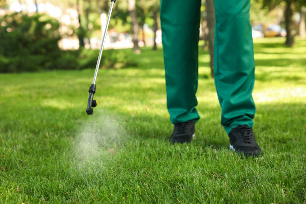 Best Emergency Pest Control  in Golden Valley, MN
