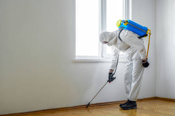 Best Residential Pest Control  in Golden Valley, MN