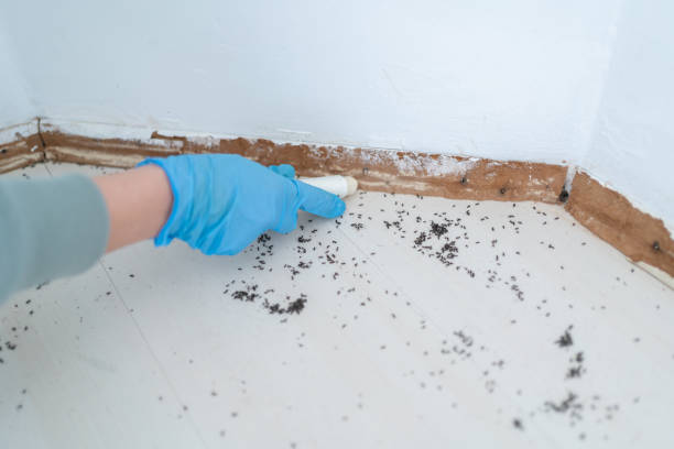 Best Best Pest Control Companies  in Golden Valley, MN